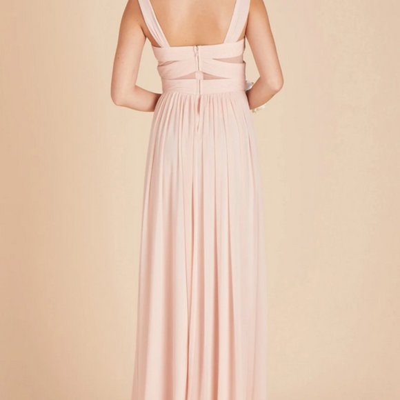 Birdy Grey Elsye Dress Mesh Pale Blush - Picture 2 of 4